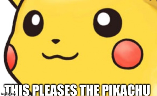 This pleases the pikachu | image tagged in this pleases the pikachu | made w/ Imgflip meme maker