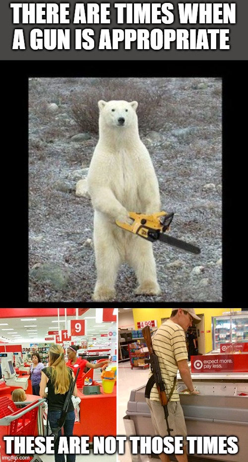 THERE ARE TIMES WHEN A GUN IS APPROPRIATE THESE ARE NOT THOSE TIMES | image tagged in memes,chainsaw bear,open carry | made w/ Imgflip meme maker