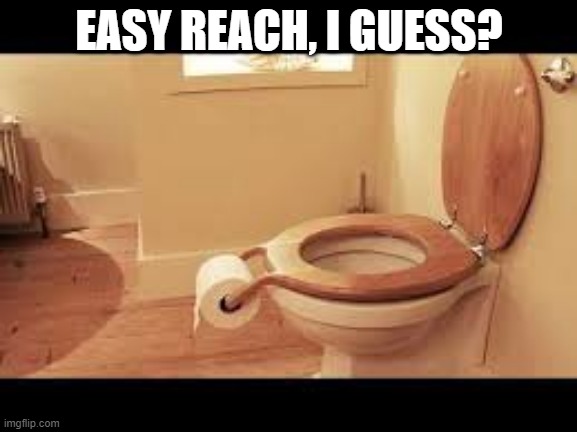 Why? | EASY REACH, I GUESS? | image tagged in you had one job | made w/ Imgflip meme maker