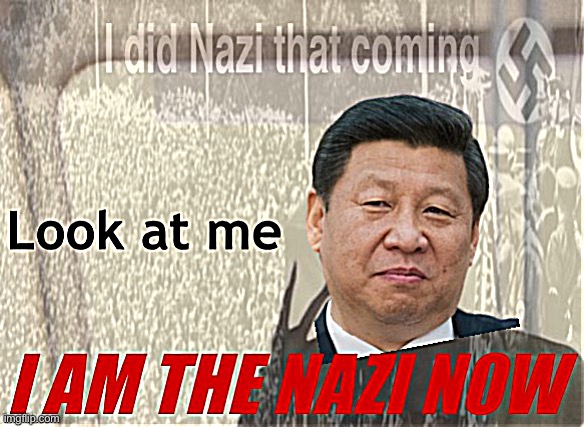 What will they do when they realize Democrats are principally opposed to China as well? | image tagged in xi jinping look at me i am the nazi now,nazi,nazism,china,i did nazi that coming,xi jinping | made w/ Imgflip meme maker
