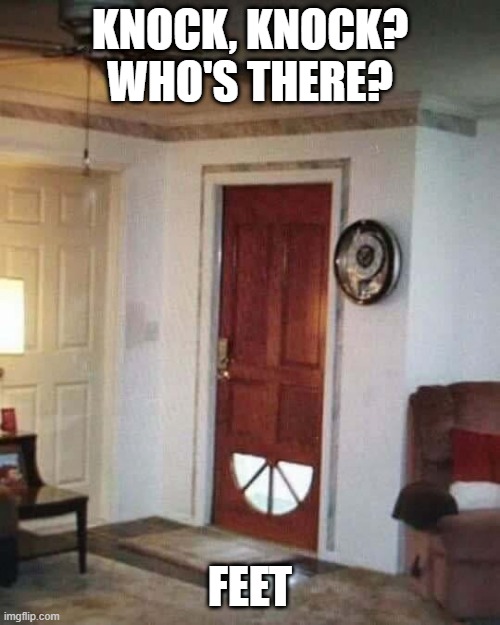 The View | KNOCK, KNOCK? WHO'S THERE? FEET | image tagged in you had one job | made w/ Imgflip meme maker