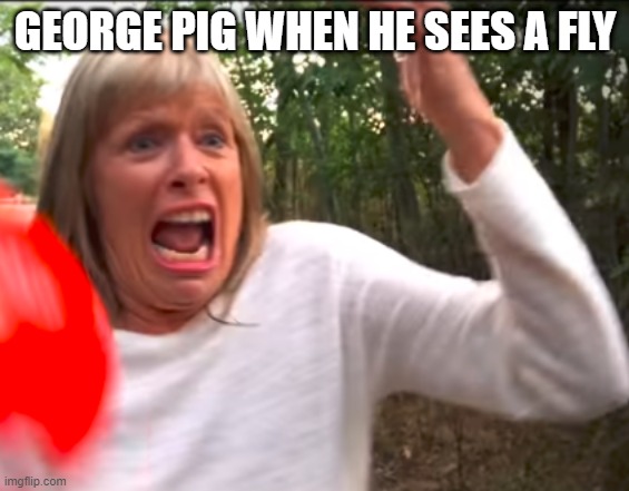 MORGZMOM | GEORGE PIG WHEN HE SEES A FLY | image tagged in morgzmom | made w/ Imgflip meme maker