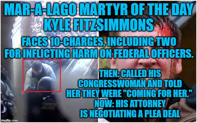 No Deals.  Back The Badge. | MAR-A-LAGO MARTYR OF THE DAY
KYLE FITZSIMMONS; FACES 10-CHARGES, INCLUDING TWO FOR INFLICTING HARM ON FEDERAL OFFICERS. THEN: CALLED HIS CONGRESSWOMAN AND TOLD HER THEY WERE "COMING FOR HER." 
NOW: HIS ATTORNEY IS NEGOTIATING A PLEA DEAL | image tagged in politics | made w/ Imgflip meme maker