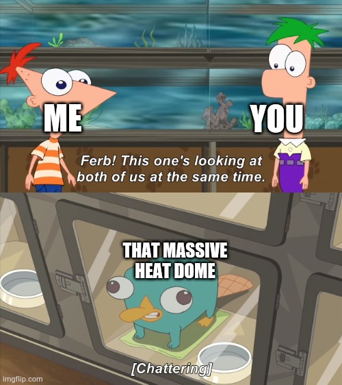 phineas and ferb | ME YOU THAT MASSIVE HEAT DOME | image tagged in phineas and ferb | made w/ Imgflip meme maker