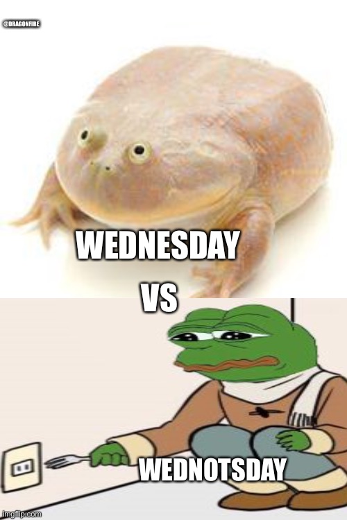 Wednesday Frog Blank | @DRAGONFIRE; WEDNESDAY; VS; WEDNOTSDAY | image tagged in wednesday frog blank | made w/ Imgflip meme maker