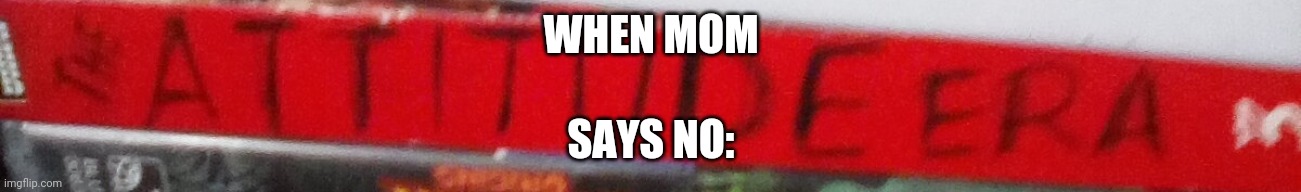 When mom says no | WHEN MOM; SAYS NO: | image tagged in wwf,wwe | made w/ Imgflip meme maker
