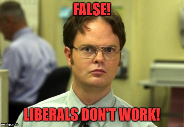 Dwight Schrute Meme | FALSE! LIBERALS DON'T WORK! | image tagged in memes,dwight schrute | made w/ Imgflip meme maker