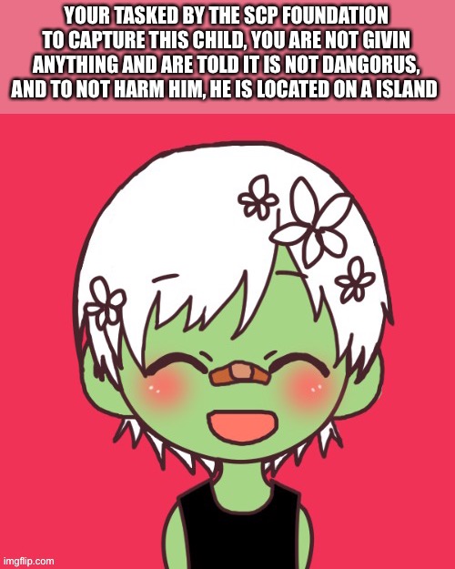 YOUR TASKED BY THE SCP FOUNDATION TO CAPTURE THIS CHILD, YOU ARE NOT GIVIN ANYTHING AND ARE TOLD IT IS NOT DANGORUS, AND TO NOT HARM HIM, HE IS LOCATED ON A ISLAND | made w/ Imgflip meme maker