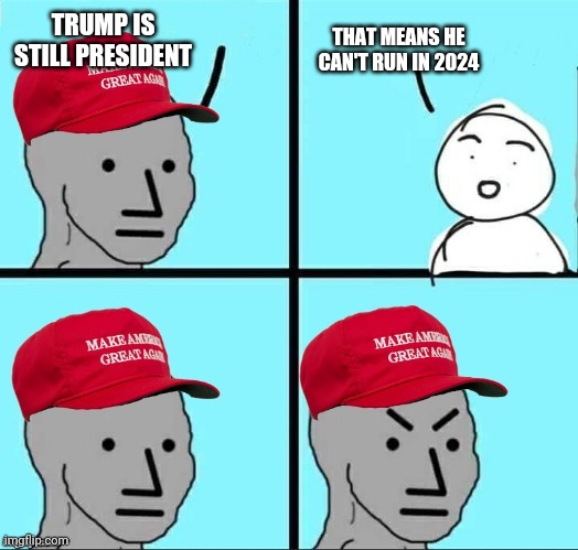 MAGA NPC (AN AN0NYM0US TEMPLATE) | TRUMP IS STILL PRESIDENT; THAT MEANS HE CAN'T RUN IN 2024 | image tagged in maga npc an an0nym0us template | made w/ Imgflip meme maker