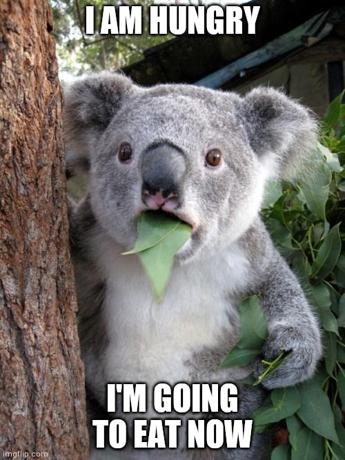 Surprised Koala |  I AM HUNGRY; I'M GOING TO EAT NOW | image tagged in memes,surprised koala | made w/ Imgflip meme maker