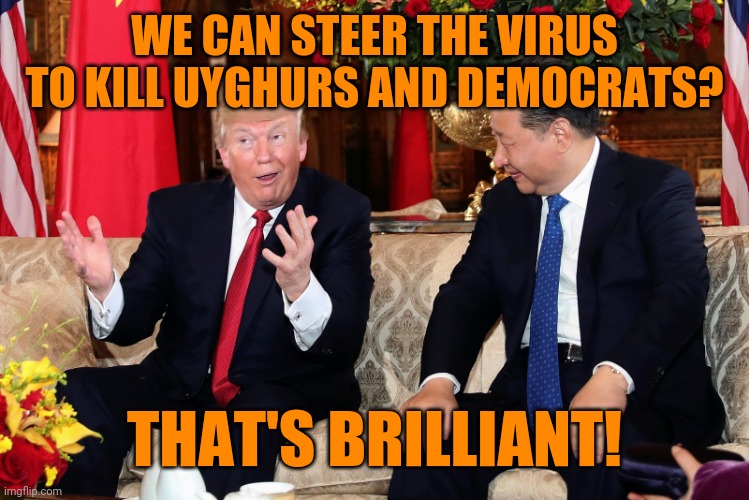 trump and xi | WE CAN STEER THE VIRUS TO KILL UYGHURS AND DEMOCRATS? THAT'S BRILLIANT! | image tagged in trump and xi | made w/ Imgflip meme maker
