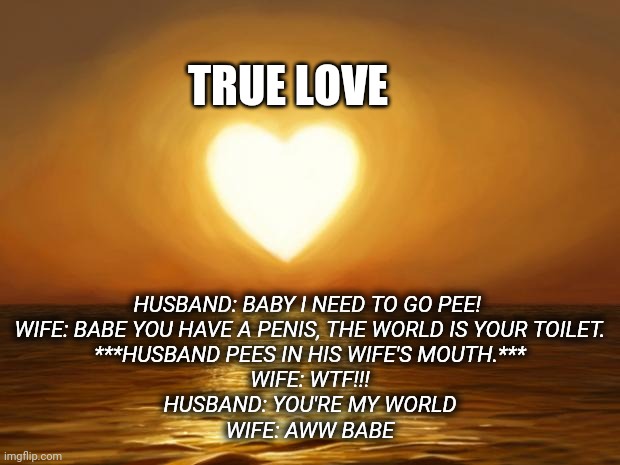 True love | TRUE LOVE; HUSBAND: BABY I NEED TO GO PEE! 
WIFE: BABE YOU HAVE A PENIS, THE WORLD IS YOUR TOILET.
***HUSBAND PEES IN HIS WIFE'S MOUTH.***
WIFE: WTF!!!
HUSBAND: YOU'RE MY WORLD
WIFE: AWW BABE | image tagged in love,unexpected,fetish,romantic,true love,soulmates | made w/ Imgflip meme maker