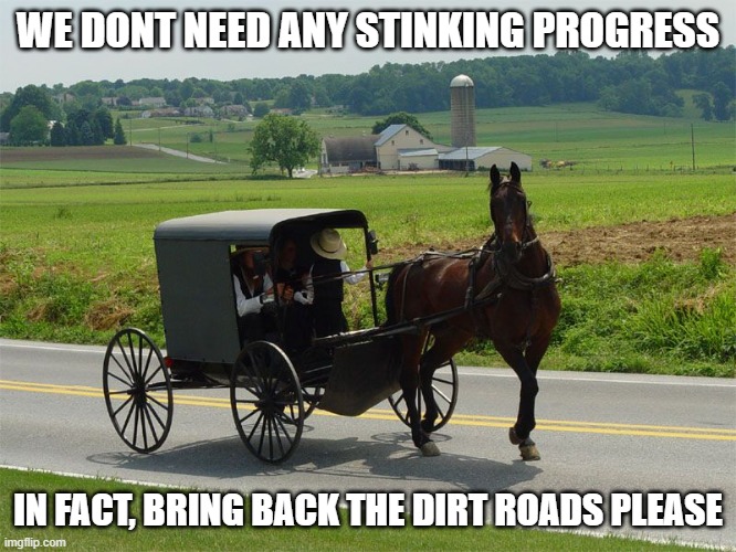 Amish Peeps | WE DONT NEED ANY STINKING PROGRESS IN FACT, BRING BACK THE DIRT ROADS PLEASE | image tagged in amish peeps | made w/ Imgflip meme maker