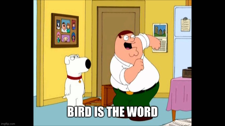 bird is the word | BIRD IS THE WORD | image tagged in bird is the word | made w/ Imgflip meme maker