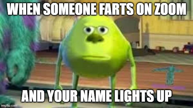 I never did anything | WHEN SOMEONE FARTS ON ZOOM; AND YOUR NAME LIGHTS UP | image tagged in mike wazowski two eyed | made w/ Imgflip meme maker
