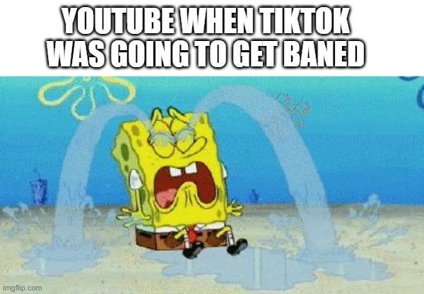 cryin |  YOUTUBE WHEN TIKTOK WAS GOING TO GET BANED | image tagged in cryin | made w/ Imgflip meme maker