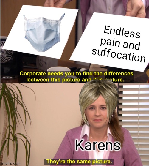 They're The Same Picture | Endless pain and suffocation; Karens | image tagged in memes,they're the same picture | made w/ Imgflip meme maker