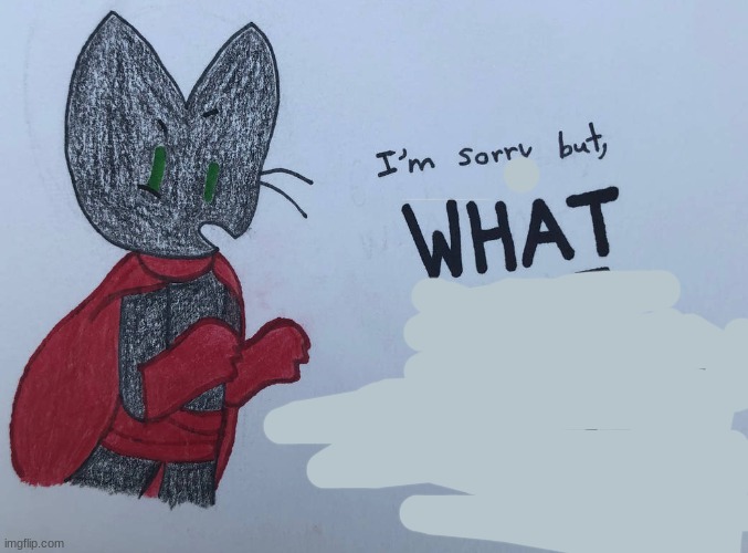 i'm sorry but, WHAT THE ACTUAL HELL mao mao | image tagged in i'm sorry but what the actual hell mao mao | made w/ Imgflip meme maker