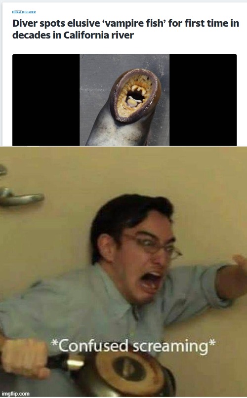 Vampire Fish | image tagged in confused screaming,vampire fish | made w/ Imgflip meme maker