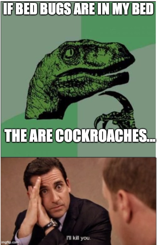 this is y no one likes cockroaches |  IF BED BUGS ARE IN MY BED; THE ARE COCKROACHES... | image tagged in philosoraptor,the office,i will find you and i will kill you,memes,best memes,funny memes | made w/ Imgflip meme maker