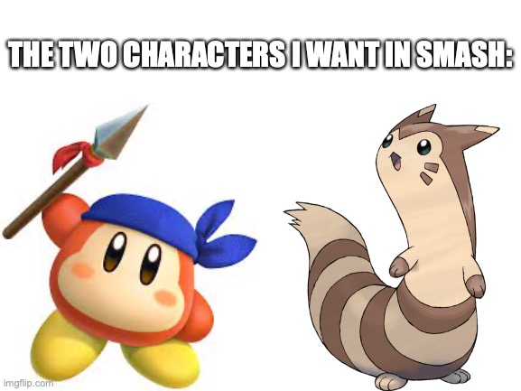 Blank White Template | THE TWO CHARACTERS I WANT IN SMASH: | image tagged in blank white template | made w/ Imgflip meme maker