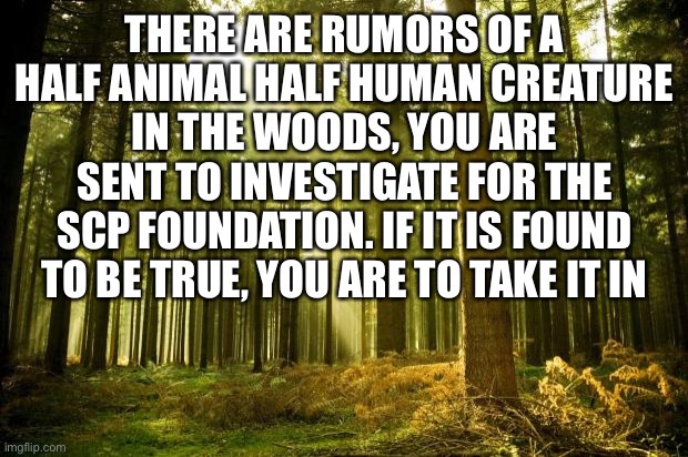SCPs don’t capture other SCPs for the foundation. That role is taken by HUMANS! You have to capture the SCP, no hesitating | THERE ARE RUMORS OF A HALF ANIMAL HALF HUMAN CREATURE IN THE WOODS, YOU ARE SENT TO INVESTIGATE FOR THE SCP FOUNDATION. IF IT IS FOUND TO BE TRUE, YOU ARE TO TAKE IT IN | image tagged in sunlit forest | made w/ Imgflip meme maker