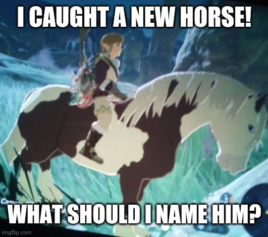 E | I CAUGHT A NEW HORSE! WHAT SHOULD I NAME HIM? | made w/ Imgflip meme maker