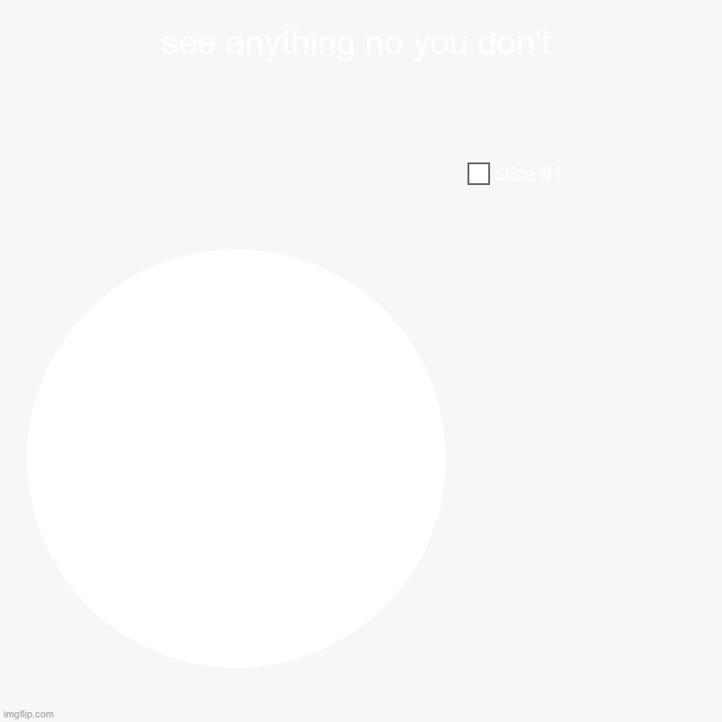 you don't | see anything no you don't | | image tagged in charts,pie charts | made w/ Imgflip chart maker