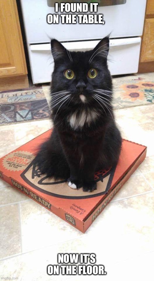 Cat pizza sits | I FOUND IT ON THE TABLE, NOW IT’S ON THE FLOOR. | image tagged in cat pizza sits | made w/ Imgflip meme maker