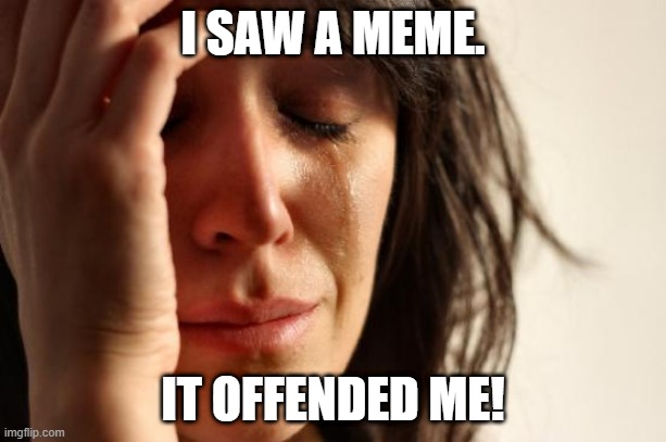 First World Problems Meme | I SAW A MEME. IT OFFENDED ME! | image tagged in memes,first world problems | made w/ Imgflip meme maker