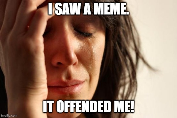 First World Problems | I SAW A MEME. IT OFFENDED ME! | image tagged in memes,first world problems | made w/ Imgflip meme maker