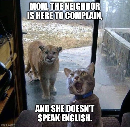 House Cat with Mountain Lion at the door | MOM, THE NEIGHBOR IS HERE TO COMPLAIN, AND SHE DOESN’T SPEAK ENGLISH. | image tagged in house cat with mountain lion at the door | made w/ Imgflip meme maker