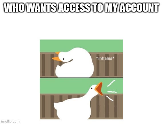 ? | WHO WANTS ACCESS TO MY ACCOUNT | image tagged in honk | made w/ Imgflip meme maker