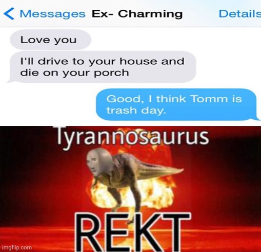 So much rekt | image tagged in tyrannosaurus rekt,funny,memes,roasts,roasted,text messages | made w/ Imgflip meme maker