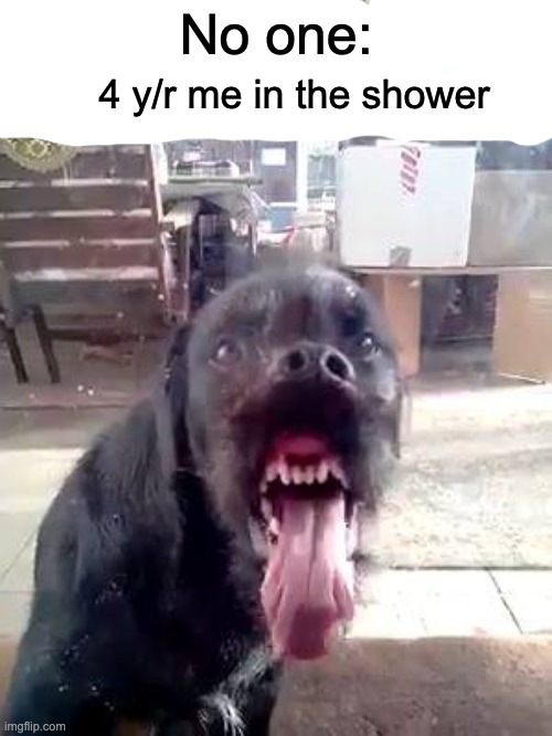 Window licker | No one:; 4 y/r me in the shower | image tagged in window licker | made w/ Imgflip meme maker