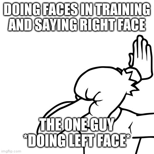 Face Palm | DOING FACES IN TRAINING AND SAYING RIGHT FACE; THE ONE GUY *DOING LEFT FACE* | image tagged in face palm | made w/ Imgflip meme maker