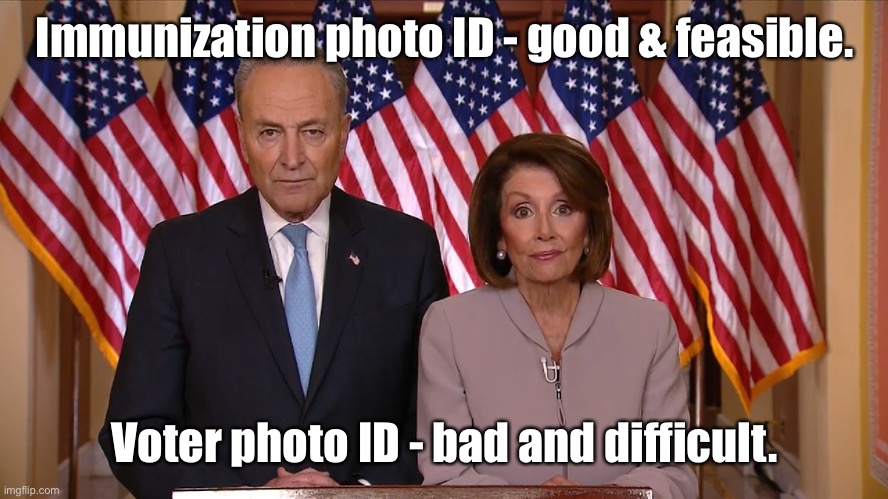 Chuck and Nancy | Immunization photo ID - good & feasible. Voter photo ID - bad and difficult. | image tagged in chuck and nancy | made w/ Imgflip meme maker