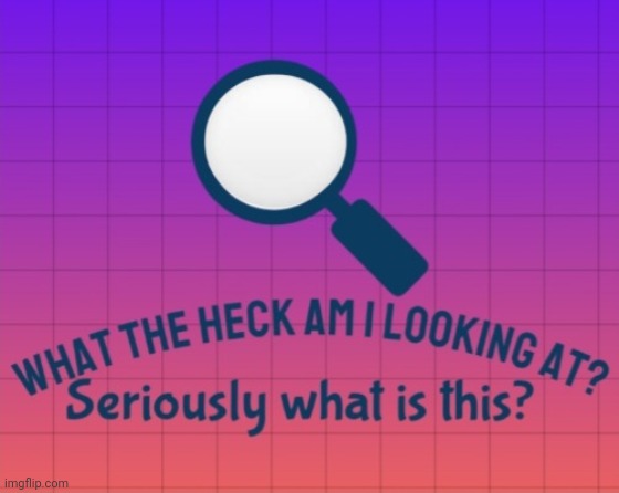 https://imgflip.com/memetemplate/320237881/What-the-heck-am-I-looking-at-Seriously-what-is-this | image tagged in what the heck am i looking at seriously what is this | made w/ Imgflip meme maker