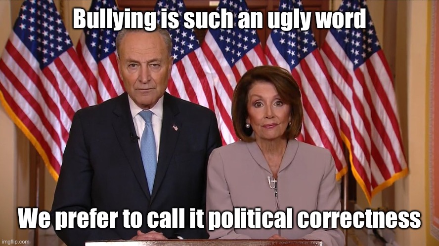 Chuck and Nancy | Bullying is such an ugly word We prefer to call it political correctness | image tagged in chuck and nancy | made w/ Imgflip meme maker
