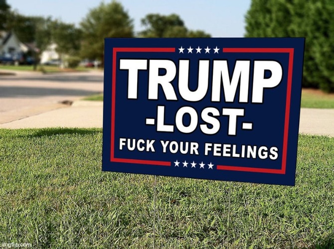 trump LOST | image tagged in trump lost | made w/ Imgflip meme maker