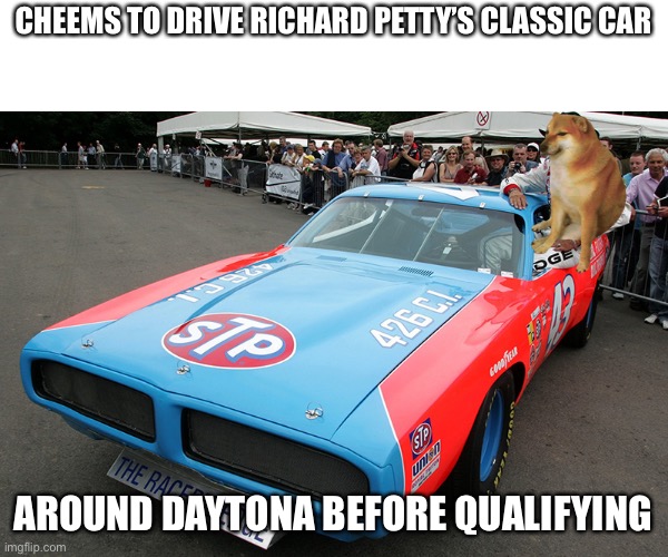 He won’t drive it at the actual race, it’s just a test run. Hopefully Tails won’t get hit again. |  CHEEMS TO DRIVE RICHARD PETTY’S CLASSIC CAR; AROUND DAYTONA BEFORE QUALIFYING | image tagged in richard petty,cheems,43,memes,nascar,nmcs | made w/ Imgflip meme maker