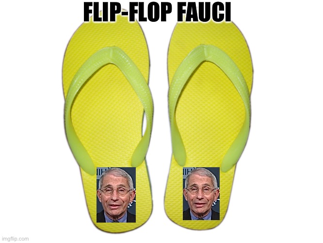 Flip Flops | FLIP-FLOP FAUCI | image tagged in flip flops | made w/ Imgflip meme maker