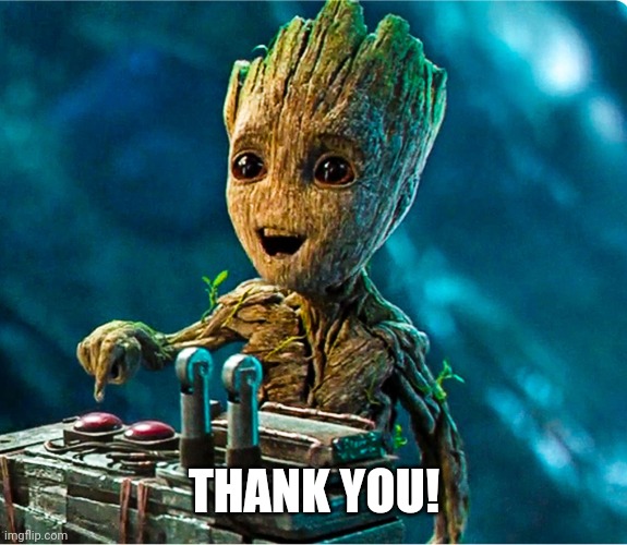 I am groot | THANK YOU! | image tagged in i am groot | made w/ Imgflip meme maker