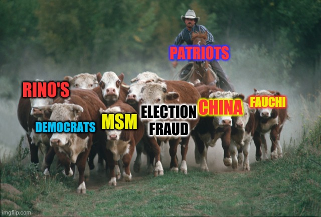 We The People Are In Control | PATRIOTS; RINO'S; DEMOCRATS; FAUCHI; CHINA; ELECTION FRAUD; MSM | image tagged in patriots,msm lies,democrats,rino,china,election fraud | made w/ Imgflip meme maker