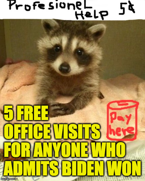 There is no end date on this offer. | 5 FREE
OFFICE VISITS
FOR ANYONE WHO
ADMITS BIDEN WON | image tagged in memes,trash panda therapist,biden won,admit it,therapy does not promise a cure,tds | made w/ Imgflip meme maker