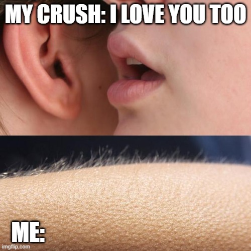 omg | MY CRUSH: I LOVE YOU TOO; ME: | image tagged in whisper and goosebumps | made w/ Imgflip meme maker