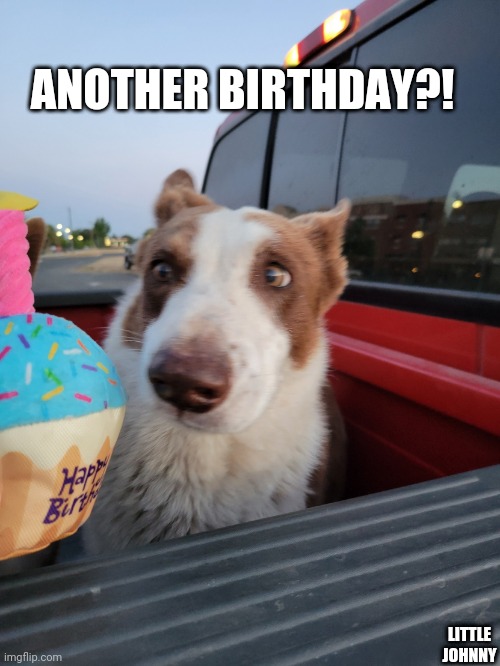 Another birthday?? | ANOTHER BIRTHDAY?! LITTLE JOHNNY | image tagged in another birthday | made w/ Imgflip meme maker