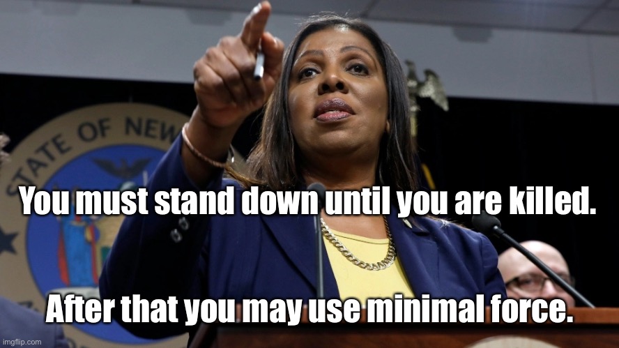 You must stand down until you are killed. After that you may use minimal force. | made w/ Imgflip meme maker