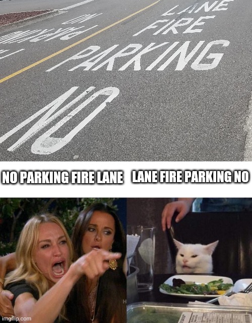 LANE FIRE PARKING NO; NO PARKING FIRE LANE | image tagged in memes,woman yelling at cat,funny,funny memes,meme,cat | made w/ Imgflip meme maker