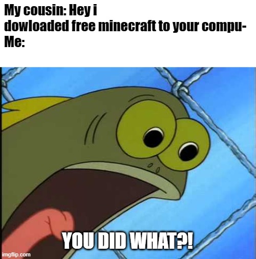 R.I.P computer |  My cousin: Hey i dowloaded free minecraft to your compu-
Me:; YOU DID WHAT?! | image tagged in you what,fun,memes | made w/ Imgflip meme maker